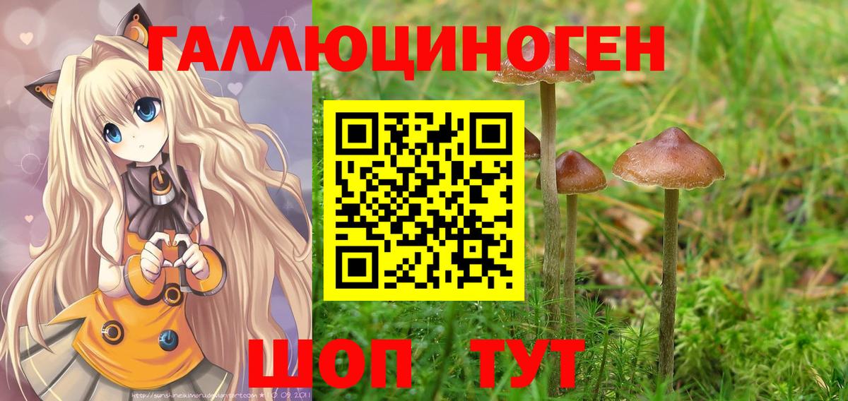 Тавда  Конопля  Вход с VPN  MDMA  ГАШИШ  Мефедрон кристаллы 