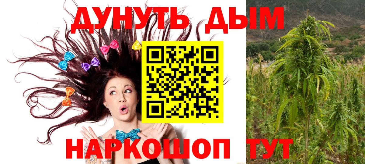 Бошки марихуана тримм Тавда